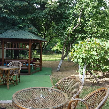 Casa Boiereasca Hostel Krajowa Zewnętrze zdjęcie