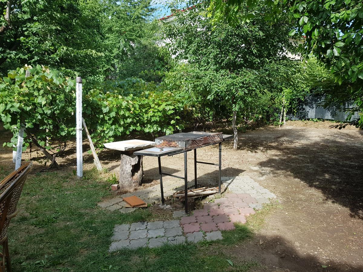 Casa Boiereasca Hostel Krajowa Zewnętrze zdjęcie