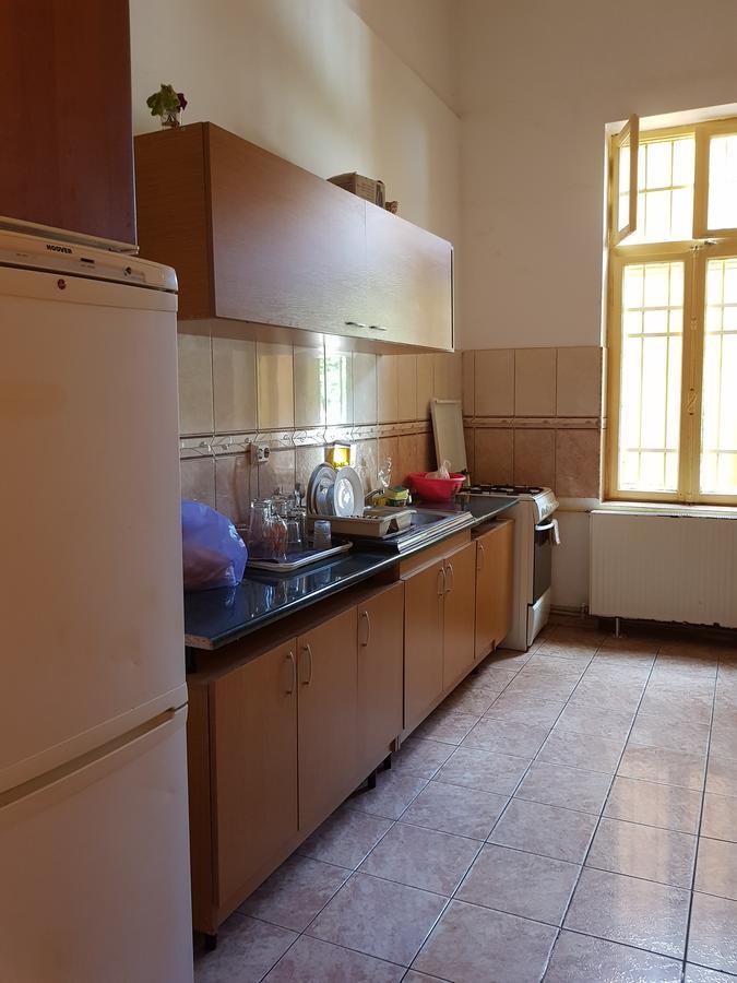 Casa Boiereasca Hostel Krajowa Zewnętrze zdjęcie
